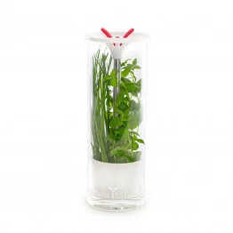 GLASS HERB KEEPER