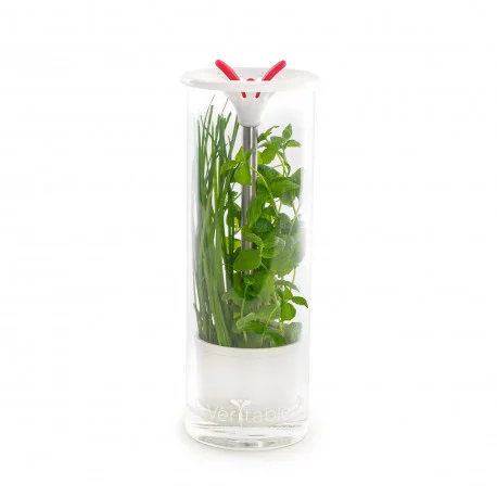 Conservateur à herbes aromatiques en verre