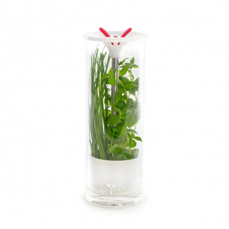 GLASS HERB KEEPER