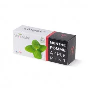 Lingot® de Menthe Pomme BIO