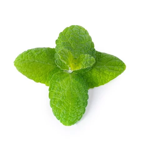 Lingot® Menthe Pomme BIO - Recharge prête à l'emploi Véritable®