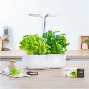 Potager Véritable® avec Laitue Batavia BIO