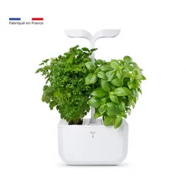 Potager d'intérieur Véritable® Smart Copper