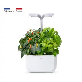 Exky® SMART moestuin