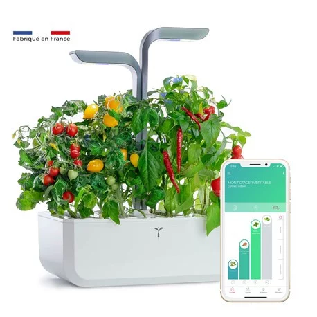 grond Hassy Samenpersen Véritable® moestuin CONNECT