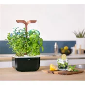 Potager EXKY® SMART COPPER sur comptoir de cuisine