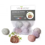 Seed bombs packaging