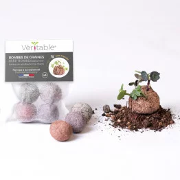 Packaging seed bombs et germination