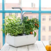 Smart Garten