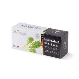 Packaging moutarde wasabi