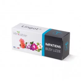 Packaging Impatiens