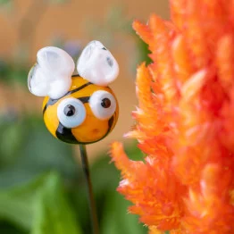 The bee loves plumed cockscomb The bee loves plumed cockscomb
