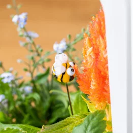 the bee goes foraging the bee goes foraging