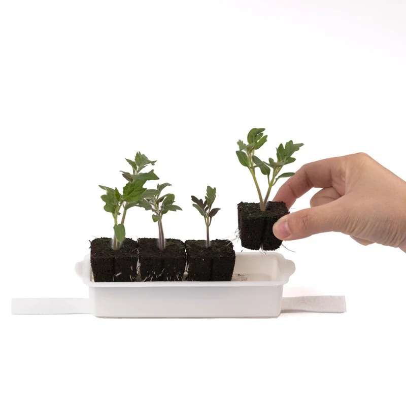 Kit De Semis Express Véritable - Compatible Potagers Intérieurs, 4 Paniers, Mèches Et Cubes De Culture, Pour Semis Précoces