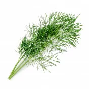 ORGANIC DILL LINGOT®