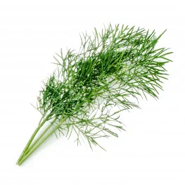 Bio-Dill Lingot®