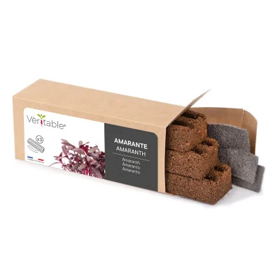 Packaging Micropousses Amarante Packaging Micropousses Amarante
