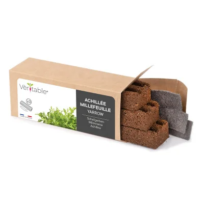 Yarrow microgreens Packaging Yarrow microgreens Packaging