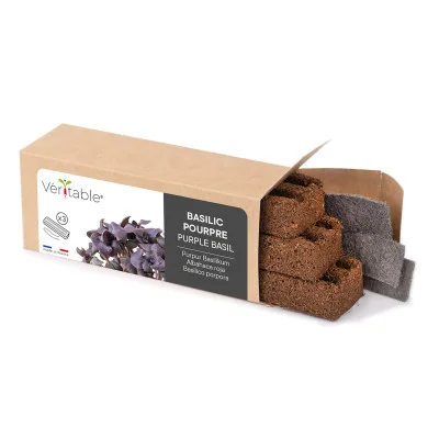 Packaging Micropousses Basilic pourpre Packaging Micropousses Basilic pourpre