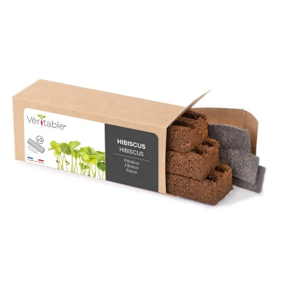 Hibiscus microgreens packaging Hibiscus microgreens packaging