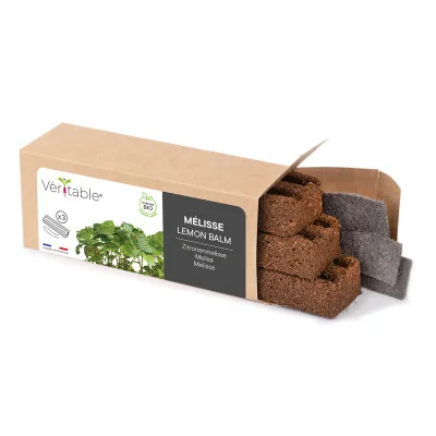 Lemon balm microgreens packaging Lemon balm microgreens packaging