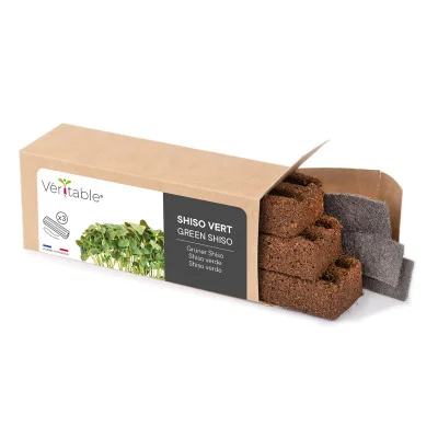 Green shiso microgreens packaging Green shiso microgreens packaging