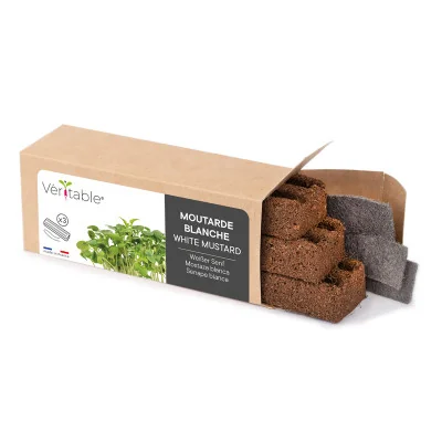 White mustard microgreens packaging White mustard microgreens packaging