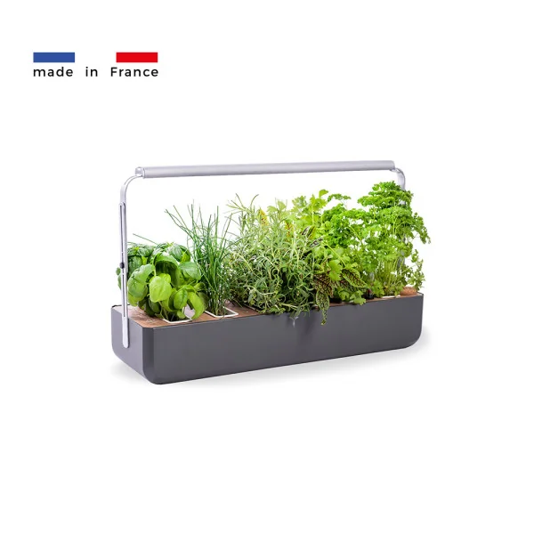 Gourmet 1X for microgreens - Graphite - Side view - 8 plant slots