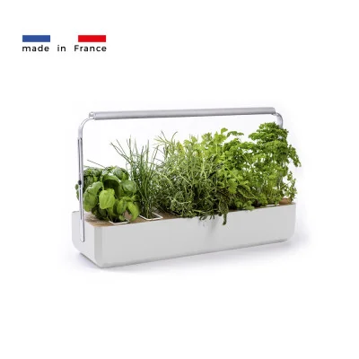 Gourmet micropousses 1X - Blanc - de profil - 8 emplacements Gourmet micropousses 1X - Blanc - de profil - 8 emplacements