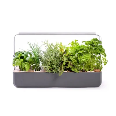 Gourmet 1X for microgreens - Graphite - Front view - 8 plant slots Gourmet 1X for microgreens - Graphite - Front view - 8 plant slots