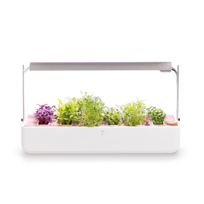 Gourmet 1X for microgreens - White - Front view - 8 plant slots Gourmet 1X for microgreens - White - Front view - 8 plant slots