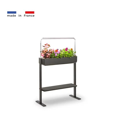 Gourmet 1X + tablet for microgreens - Graphite - Side view - 8 plant slots Gourmet 1X + tablet for microgreens - Graphite - Side view - 8 plant slots