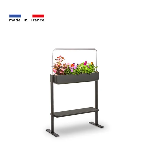 Gourmet 1X + tablet for microgreens - Graphite - Side view - 8 plant slots