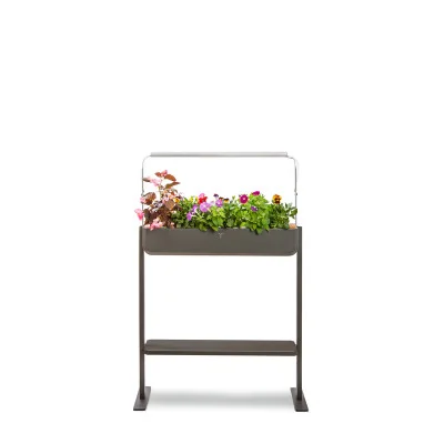 Gourmet 1xT - special microgreens - Self-sufficient garden Gourmet 1xT - special microgreens - Self-sufficient garden