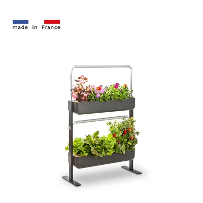 Gourmet micropousses 2X - Graphite - de profil - 16 emplacements