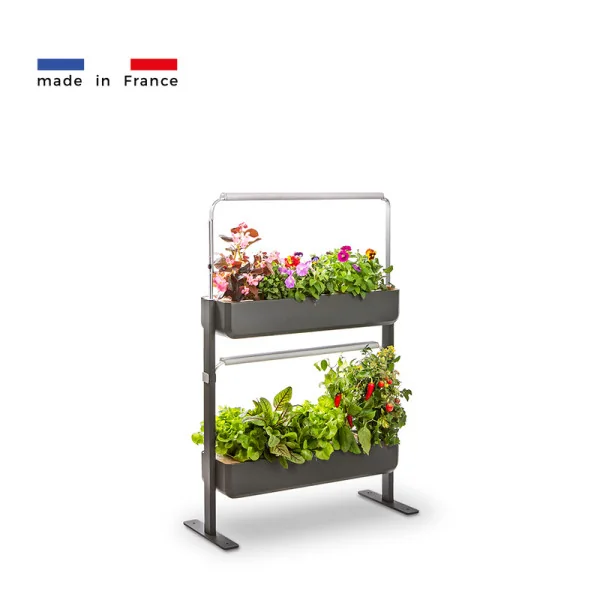 Gourmet micropousses 2X - Graphite - de profil - 16 emplacements