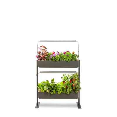 Gourmet 2X for microgreens - Graphite - Front view - 16 plant slots Gourmet 2X for microgreens - Graphite - Front view - 16 plant slots