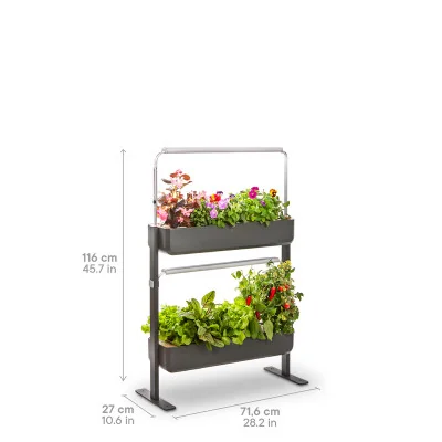 Gourmet micropousses 2X - Graphite - de profil - 16 emplacements - avec dimensions