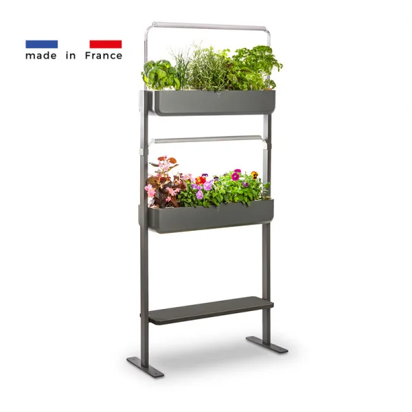 Gourmet micropousses 2X + tablette - Graphite - de profil - 16 emplacements