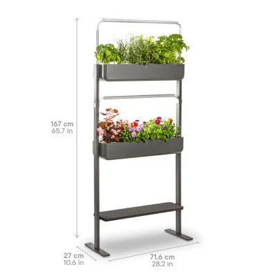 Gourmet 2X + tablet for microgreens - Graphite - Side view - 16 plant slots - with dimensions