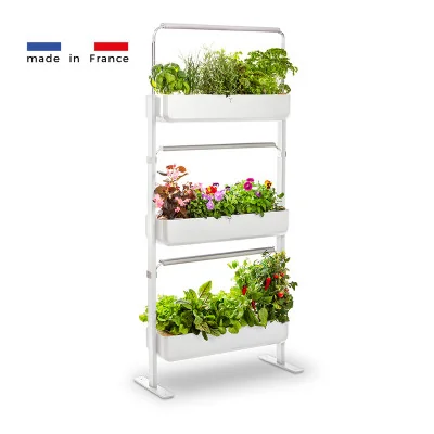 Gourmet micropousses 3X - Blanc - de profil - 24 emplacements Gourmet micropousses 3X - Blanc - de profil - 24 emplacements
