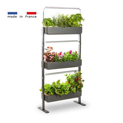 Gourmet micropousses 3X - Graphite - de profil - 24 emplacements Gourmet micropousses 3X - Graphite - de profil - 24 emplacements