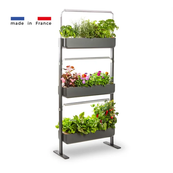 Gourmet micropousses 3X - Graphite - de profil - 24 emplacements