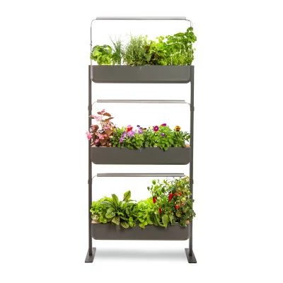Gourmet micropousses 3X - Graphite - de face - 24 emplacements Gourmet micropousses 3X - Graphite - de face - 24 emplacements