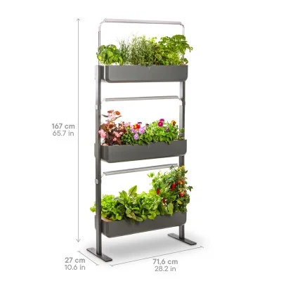 Gourmet micropousses 3X - Graphite - de profil - 24 emplacements - avec dimensions Gourmet micropousses 3X - Graphite - de profil - 24 emplacements - avec dimensions