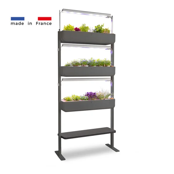 Gourmet micropousses 3X + tablette - Graphite - de profil - 24 emplacements