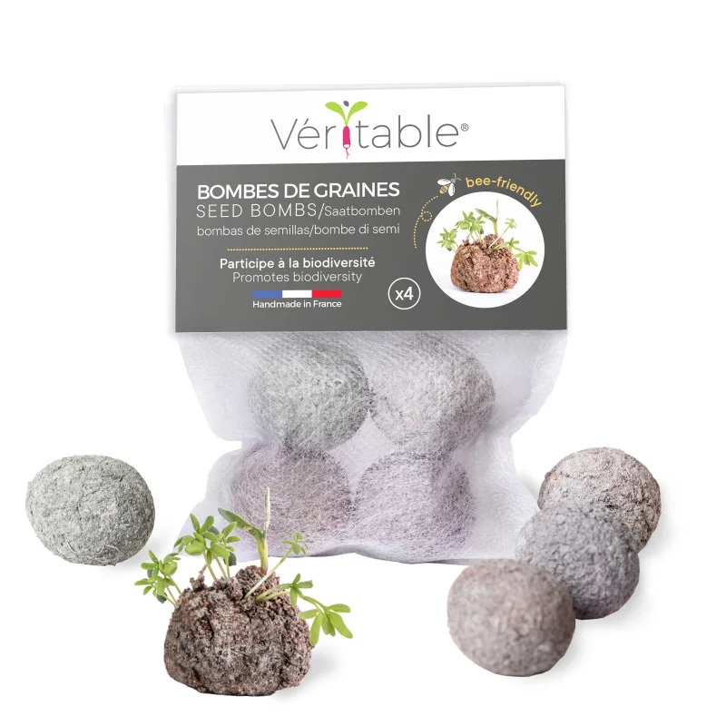 Seed bombs: a 100% recycled product made in France