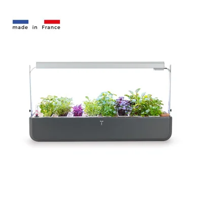 Gourmet 1X - special microgreens - Self-sufficient garden