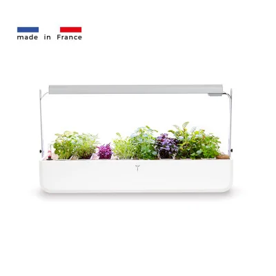 Gourmet 1X - special microgreens - Self-sufficient garden Gourmet 1X - special microgreens - Self-sufficient garden