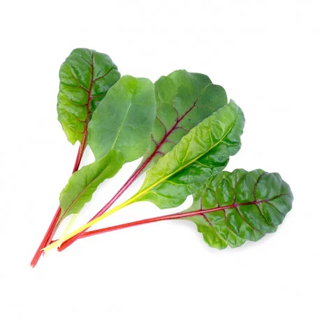 Cotes de blette Cotes de blette